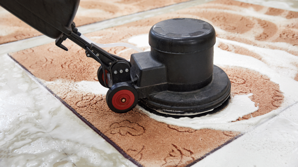 Steam & Dry Carpet Cleaning